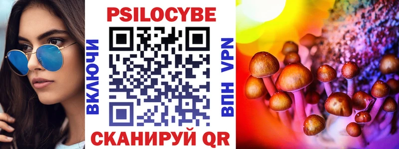 Галлюциногенные грибы Psilocybe Покачи