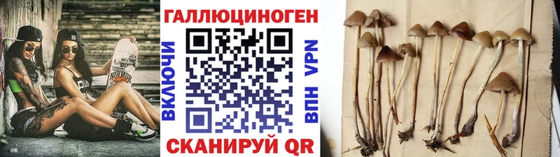 Галлюциногенные грибы мицелий  купить  сайты  Покачи 